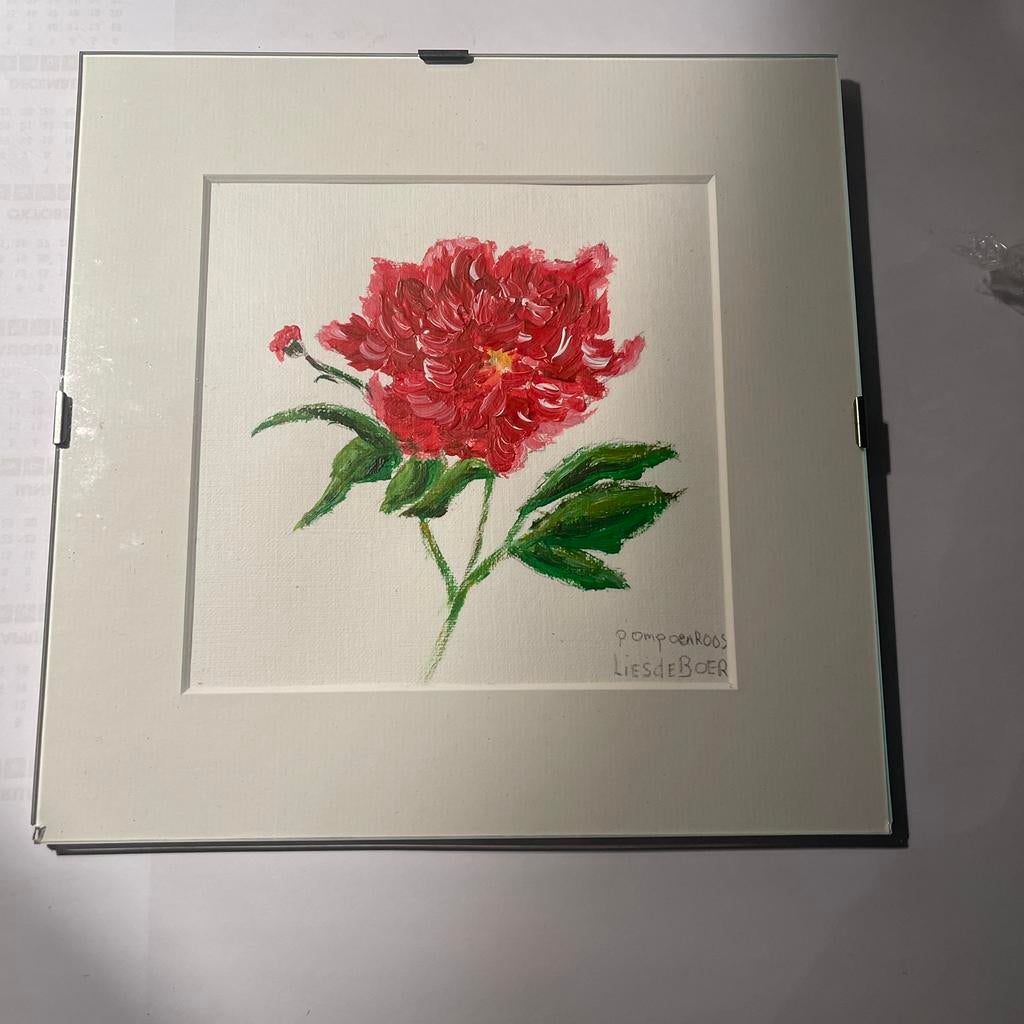 Pompoen roos, Ophalen of Verzenden