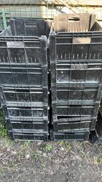 Stapelbare kisten - Ideaal voor Opslag en Transport, Doe-het-zelf en Verbouw, Kratten en Dozen, Ophalen, Gebruikt, 40 tot 60 cm