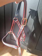 Leuk, fijn ponyhalster (nooit gebruikt!), Dieren en Toebehoren, Paarden en Pony's | Overige Paardenspullen, Ophalen of Verzenden
