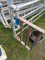 GEZOCHT Zeugenboxe a Kraamhokken, Meerdere dieren, Schaap