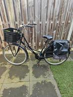 Pelikaan omafiets met mand en fietstassen, 56 cm of meer, Ophalen, Gebruikt