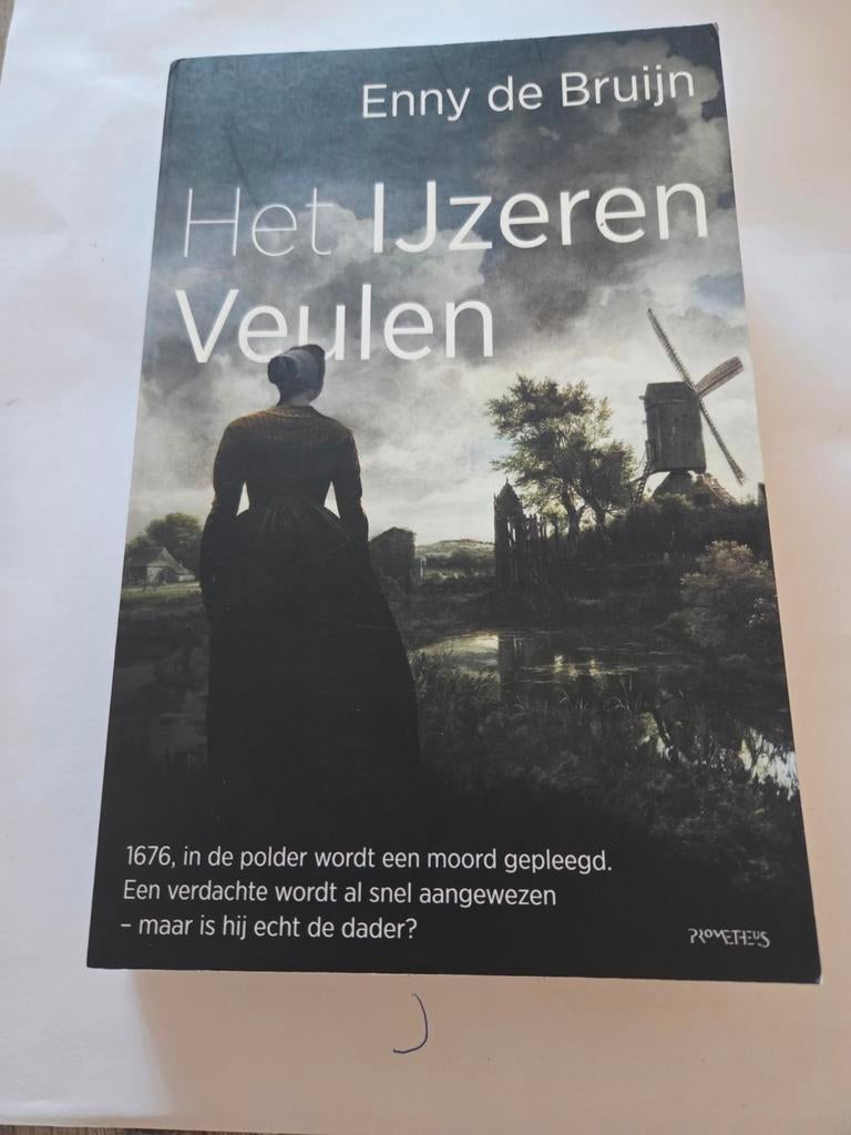 Het IJzeren Veulen - Enny de Bruijn (Historische Roman), Ophalen of Verzenden, Gelezen, Enny de Bruijn