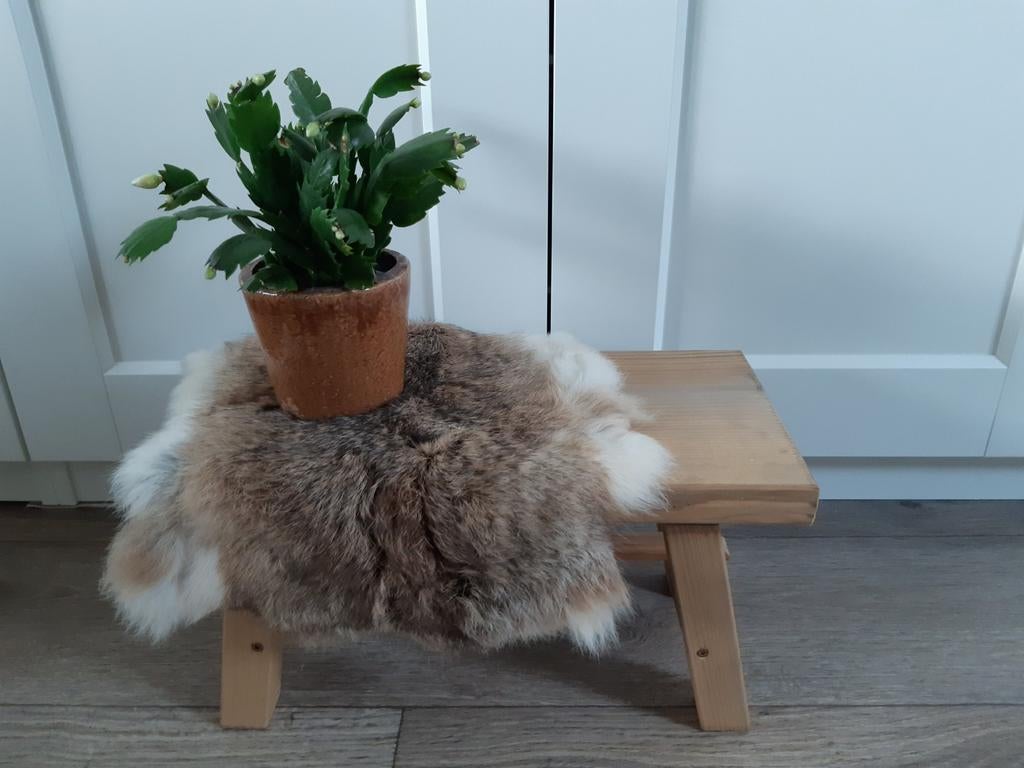 Houten krukje/bankje, Ophalen of Verzenden, Nieuw, Hout