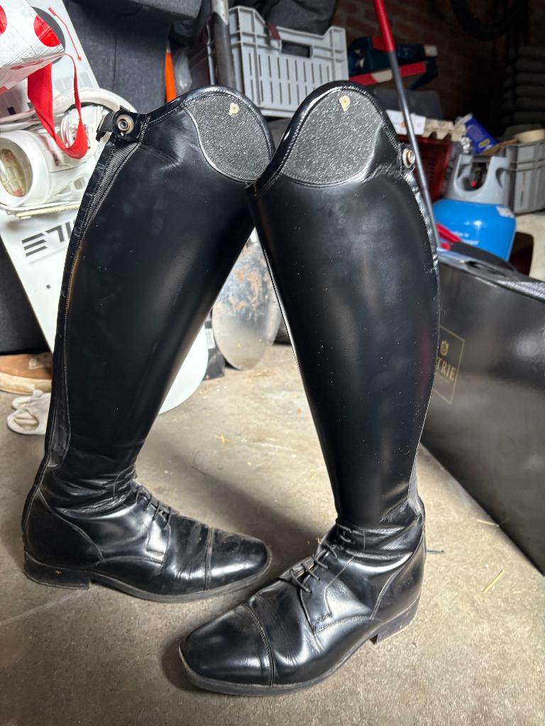 petrie riva boots, Dressuur, Dames, Nieuw, Ophalen of Verzenden