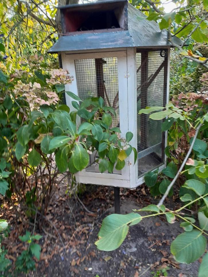 vogelkooi, volieren, kanarie kooi, duiven, dierenverblijf, Dieren en Toebehoren, Vogels | Hokken en Kooien, Gebruikt, Vogelkooi