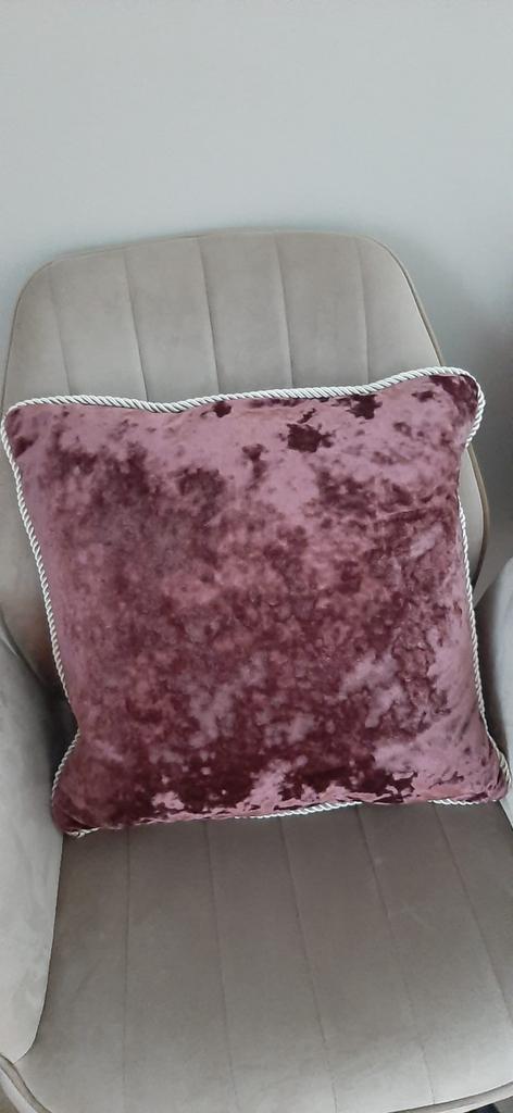 Nieuwe Bordeaux Fluweel Kussens - 4 stuks., Huis en Inrichting, Woonaccessoires | Kussens, Nieuw, Rood, Ophalen of Verzenden