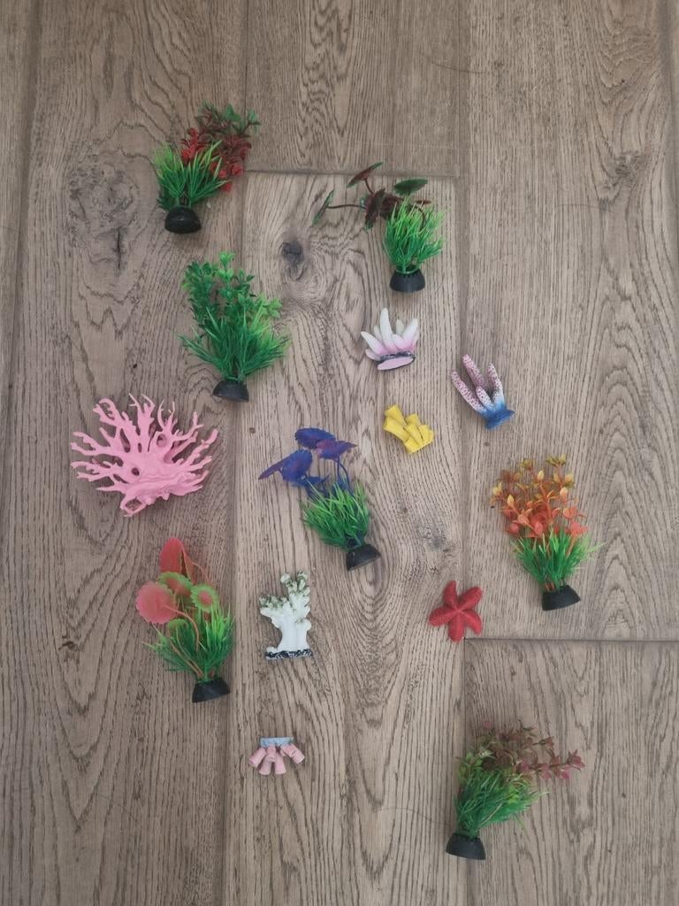 Aquarium decoraties, Ophalen, Zo goed als nieuw, Overige typen