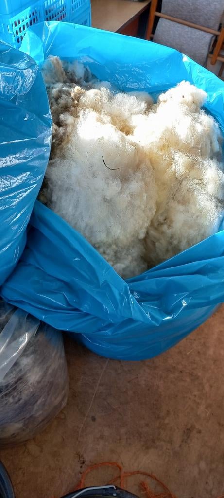 Onbewerkte schapenwol - Natuurlijk en veelzijdig, Ophalen