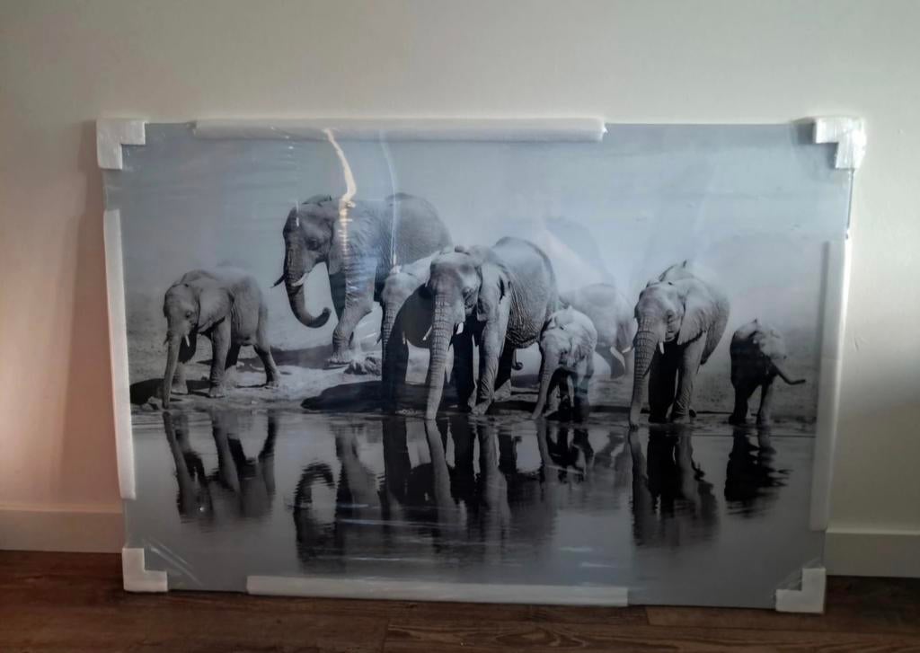 Glasschilderij olifanten aan het water, Ophalen of Verzenden