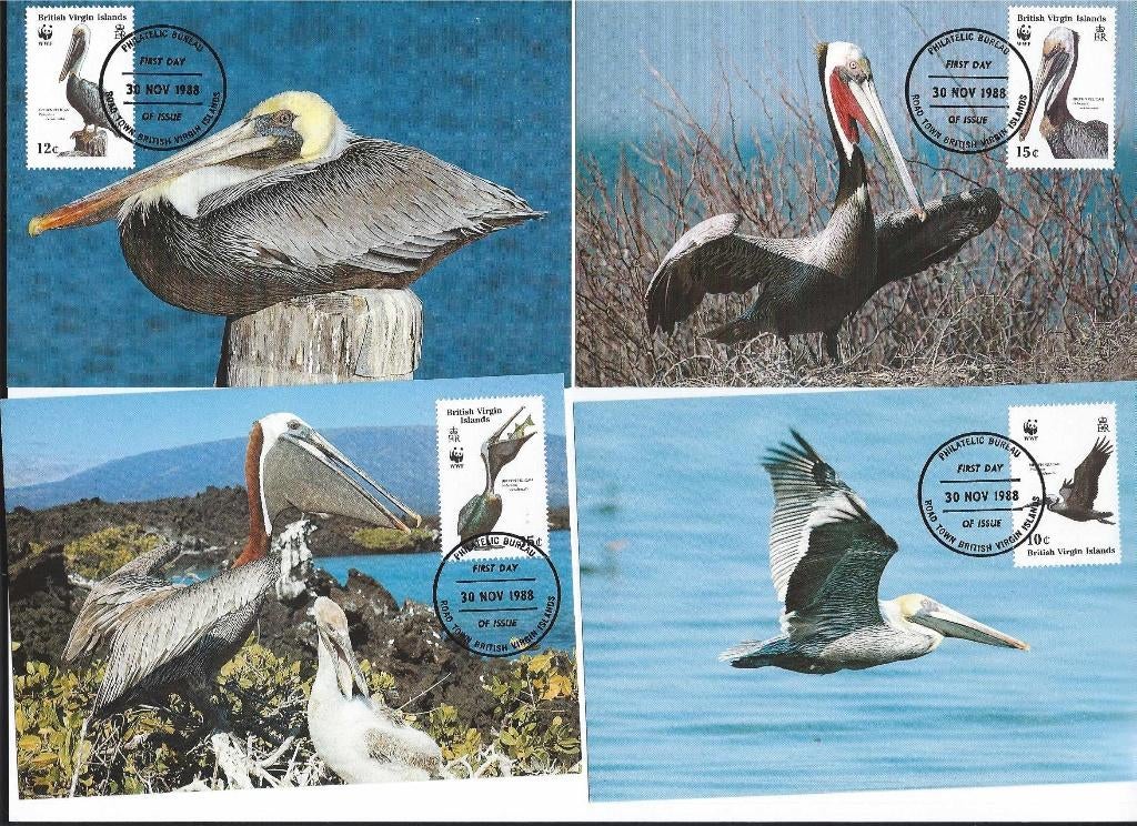 Vogels pelicaan Britisch vergin 4 maxikaarten wwf wnf bedrei, Ophalen of Verzenden, Postfris, Dier of Natuur