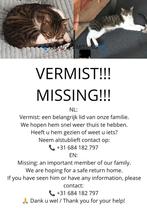 Vermist