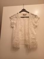 Kanten vestje, Ophalen of Verzenden, Zo goed als nieuw, Meisje, Trui of Vest