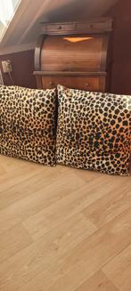 Grote kussens, Ophalen of Verzenden, Zo goed als nieuw, Vierkant