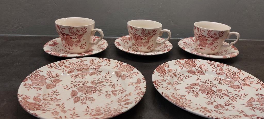 Engelse kop en schotel met roze bloemen, Ophalen of Verzenden