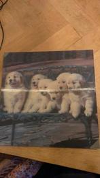 3D honden lijst, Ophalen