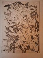 Ets Bloemstilleven van Greta pitlo, Ophalen of Verzenden