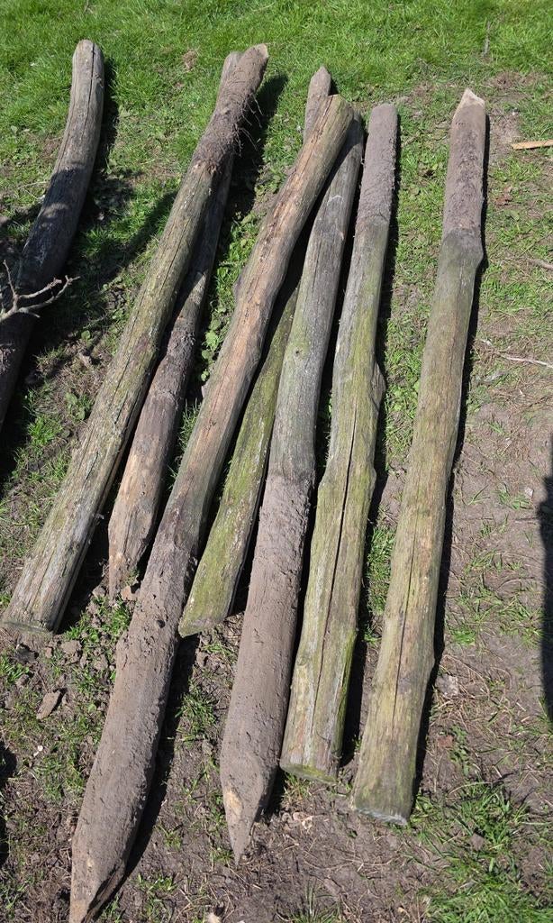Set duurzame ursus omheining 130cm + robinia palen, Ophalen, 250 cm of meer, Palen