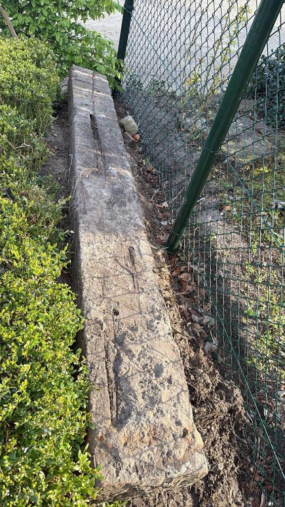 Gratis biels - Ideaal voor tuin of landschapsinrichting, Ophalen, Gebruikt, Biels, 200 cm of meer