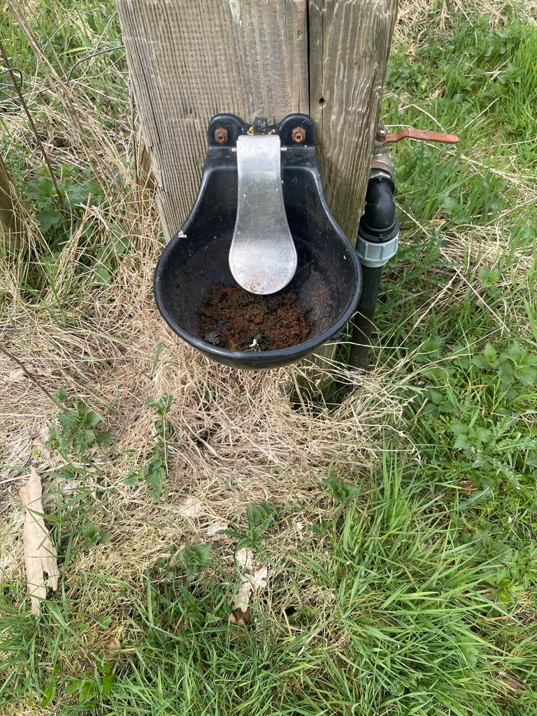Drinkbakken, Dieren en Toebehoren, Ophalen