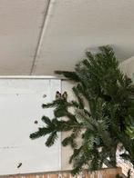 Koppel elzenputters, Meerdere dieren, Wildzangvogel, Geringd