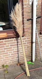 Engels gras pluimen (decoratie), Ophalen, Gebruikt