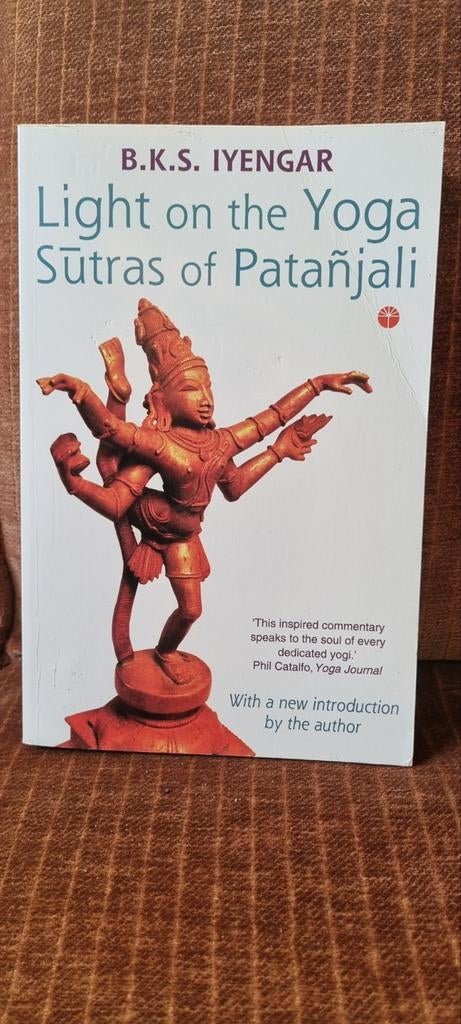 Light on the Yoga Sūtras of Patañjali - B.K.S. Iyengar, Boeken, Gelezen, B.K.S. Iyengar, Ophalen of Verzenden, Meditatie of Yoga