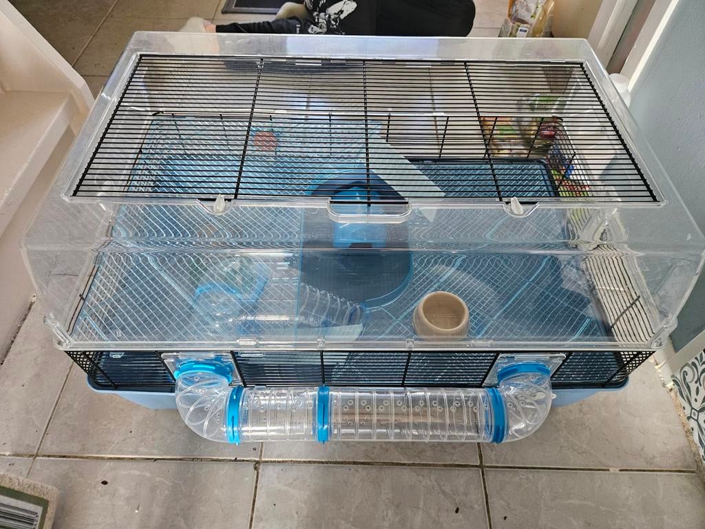 Dwerghamster kooi met toebehoren, Dieren en Toebehoren, Kooi, Minder dan 75 cm, Hamster, Ophalen