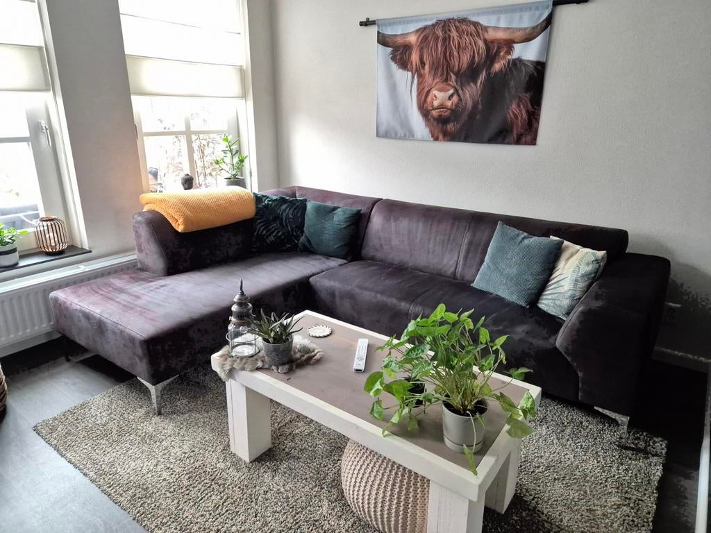 Wandkleed Schotse hooglander 120x80, Ophalen of Verzenden, Minder dan 50 cm, Schilderij, Minder dan 50 cm