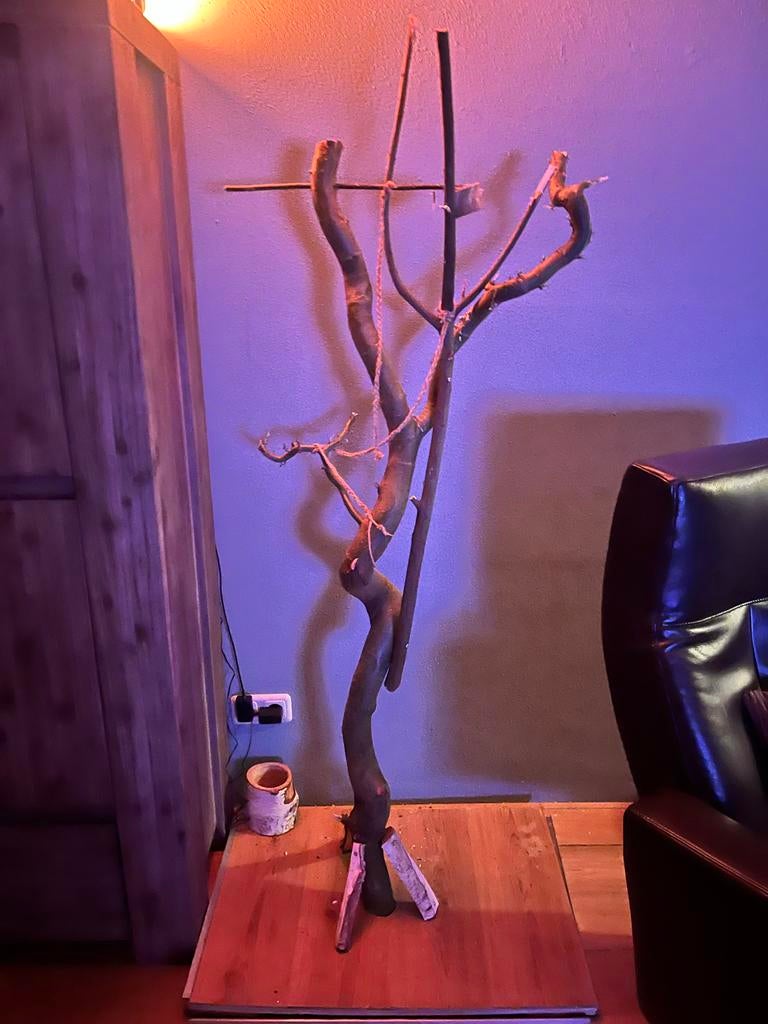 Vogel klimboom 1.70 hoog met plateau krulwilg, Dieren en Toebehoren, Ophalen, Gebruikt, Overige typen