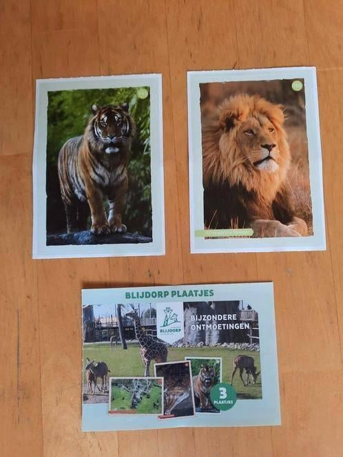 DIERGAARDE BLIJDORP PLAATJES - JUMBO - zie lijst, Albert Heijn, Ophalen of Verzenden