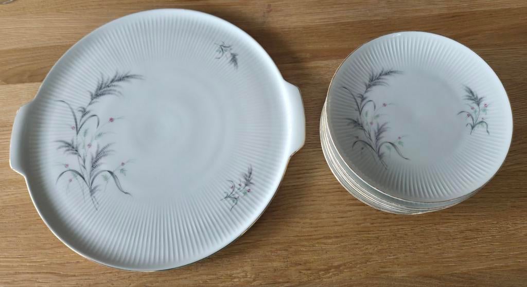 Gebaksbordjes Thomas Germany met schaal, Ophalen of Verzenden, Porselein, Overige stijlen, Bord(en)