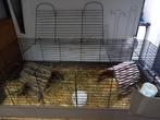 Cavia / konijnen kooi, Dieren en Toebehoren, Minder dan 60 cm, Kooi, Muis, Ophalen of Verzenden
