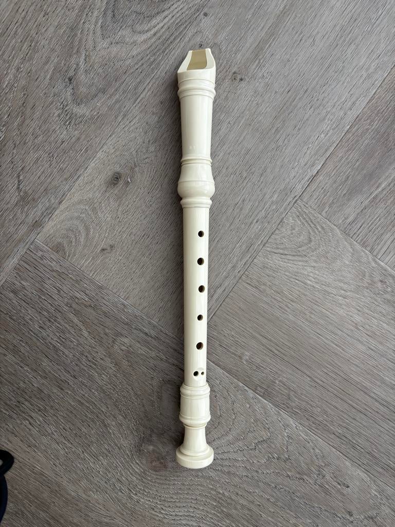 Blokfluit voor beginners - Ideaal voor startende muzikanten, Ophalen, Gebruikt, Sopraan of Sopranino, Kunststof