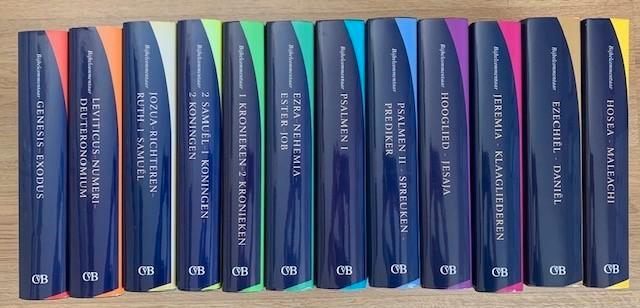 StudieBijbel Oude Testament; compleet in 12 delen, Boeken, Godsdienst en Theologie, Zo goed als nieuw, Ophalen of Verzenden