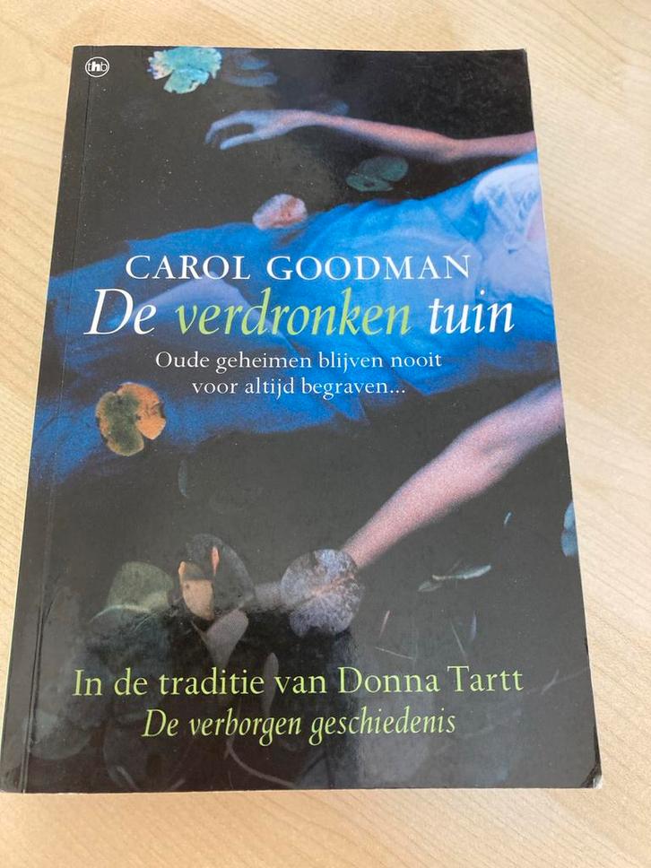 De Verdronken Tuin - Carol Goodman, Boeken, Romans, Zo goed als nieuw, Nederland, Ophalen of Verzenden