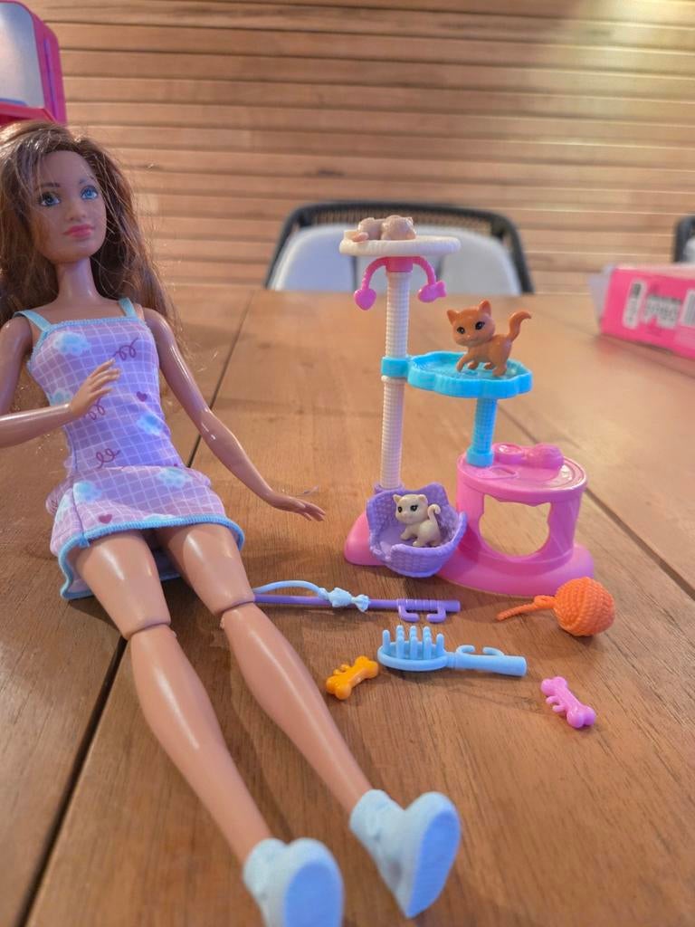 Barbie Chelsea Dierenarts Speelset met Katten, Ophalen of Verzenden, Zo goed als nieuw, Barbie