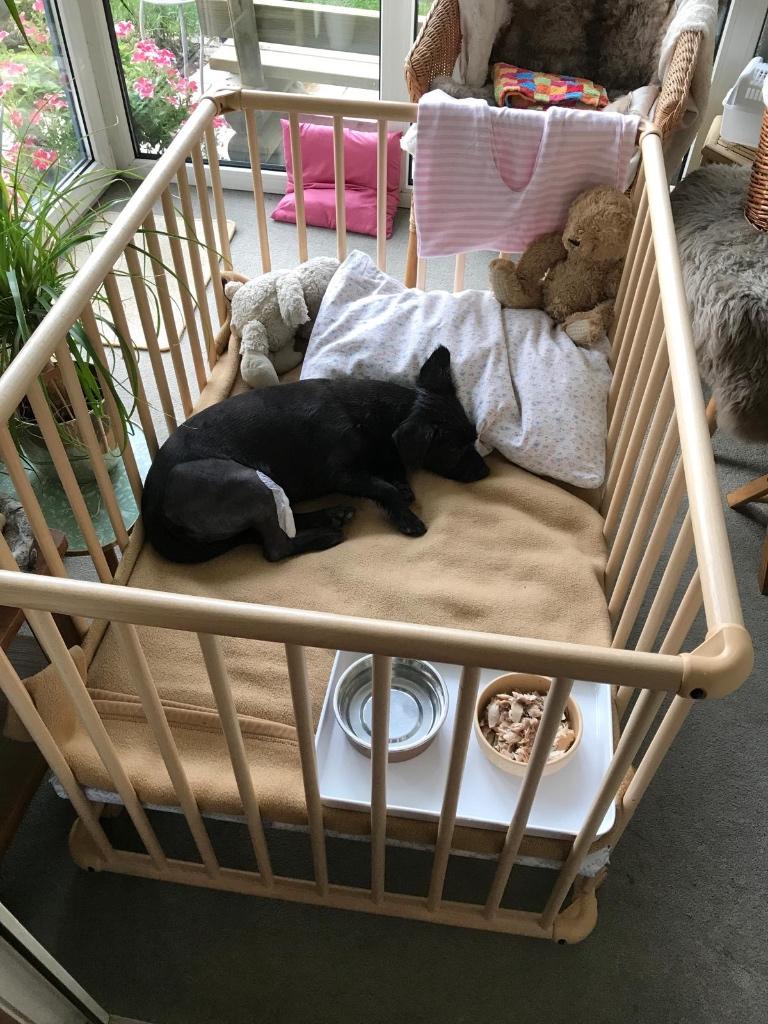 Gezocht:Baby bed, Ophalen, Gebruikt, Overige typen