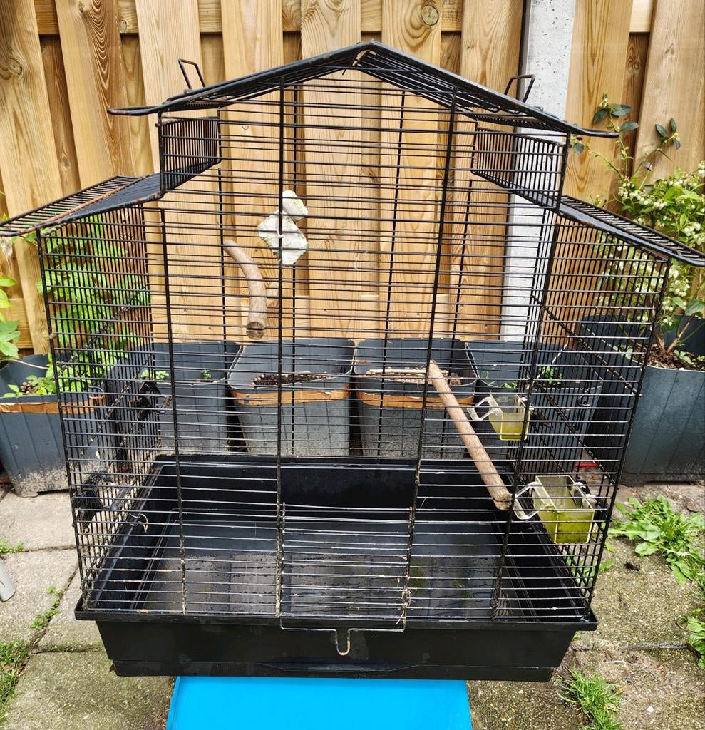 Vogelkooi te koop, Ophalen, Gebruikt, Metaal, Vogelkooi