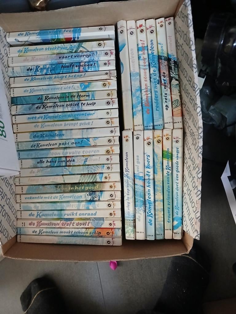 Grote collectie De Kameleon boeken - Veel leesplezier!, Ophalen of Verzenden, Gelezen, Hotze de Roos, Fictie algemeen
