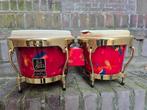 LP Aspire Santana Bongo - Rood met gouden hardware, Ophalen of Verzenden, Trommel