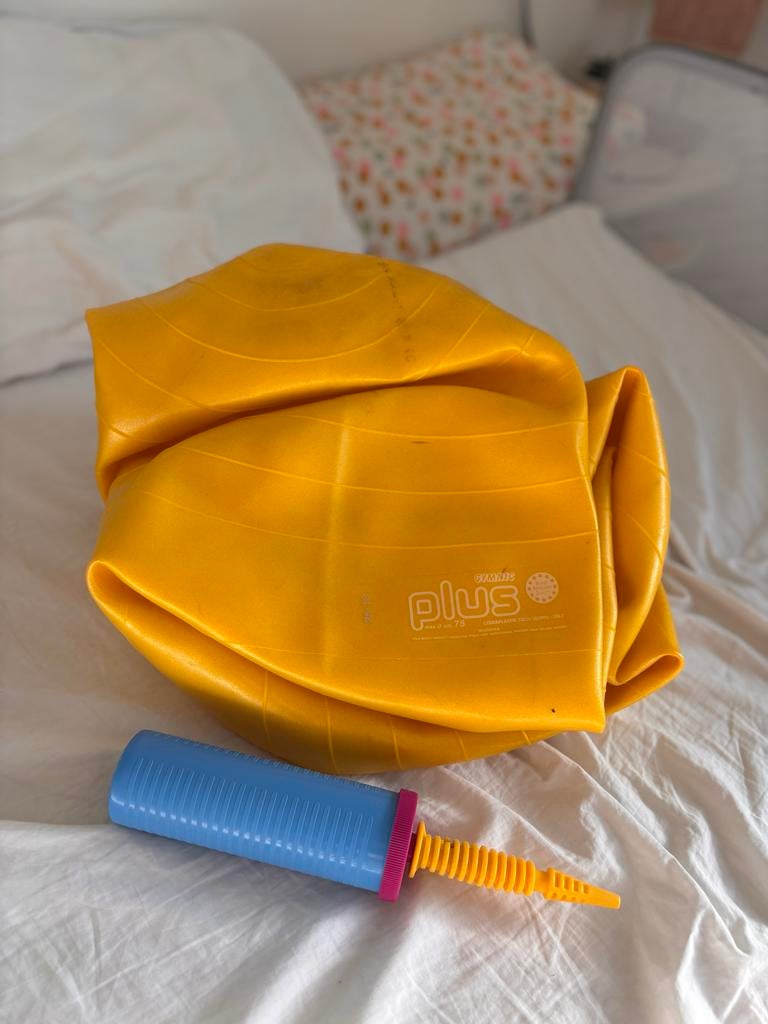 Plus Gymnic fitnessbal met pompje - max 75 cm, Ophalen of Verzenden, Gebruikt, Buik, Fitnessbal