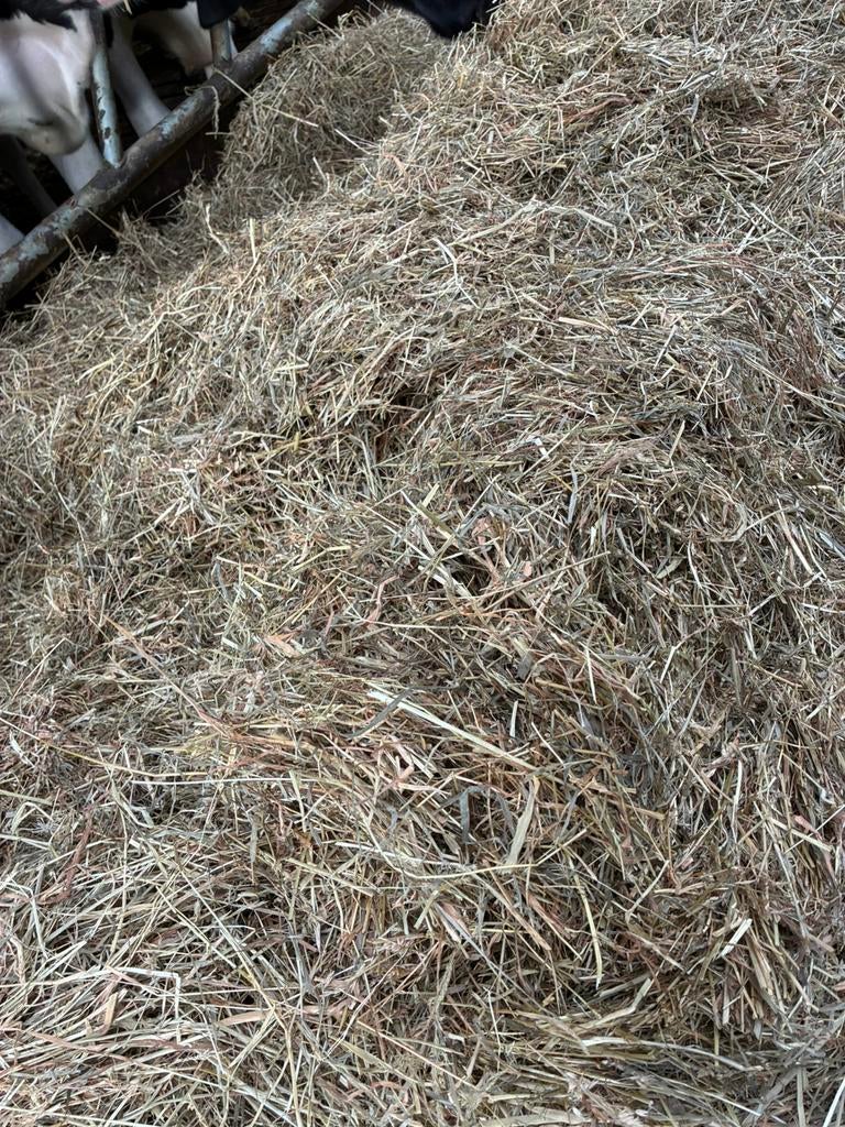 Prachtig 15 juni hooi paarden hooi koeien hooi, Ophalen, Vee