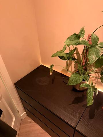 IKEA Malm Zwartbruin Hout - 280cm (80cm+160cm+40cm) - afbeelding 12