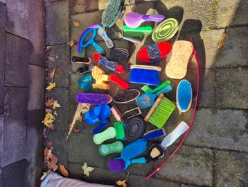 Paardenborstels  beschikbaar voor biedingen