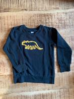 Jongenstrui 110/116, Kinderen en Baby's, Kinderkleding | Maat 110, Ophalen of Verzenden, Gebruikt, Jongen, Trui of Vest