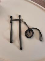 Kattentuigje van Beeztees, Dieren en Toebehoren, Ophalen of Verzenden, Nieuw