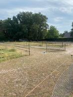 Paddock paradise, Weidegang, 4 paarden of pony's of meer