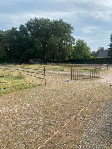 Paddock paradise beschikbaar voor biedingen