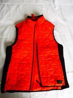 Fel oranje bodywarmer Bjorn Borg XL / 42 dames, Ophalen, Zo goed als nieuw, Maat 42/44 (L), Oranje