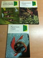 aquaria, Ophalen, Zo goed als nieuw, Leeg aquarium